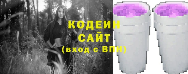 ECSTASY Алзамай